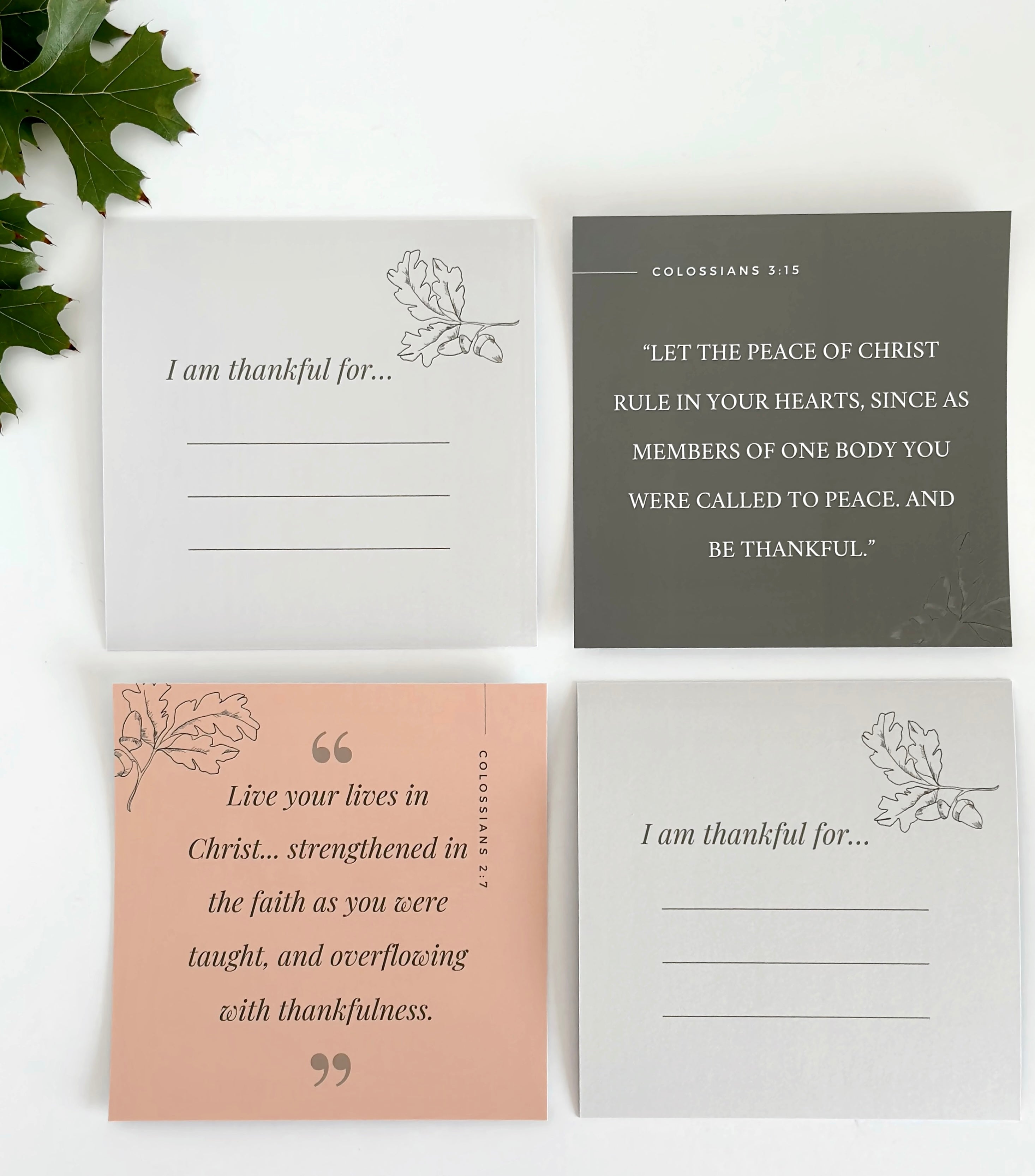 Thankful Scripture Packs